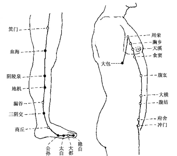 中医教你揉脾经，能揉掉大部分慢性病！