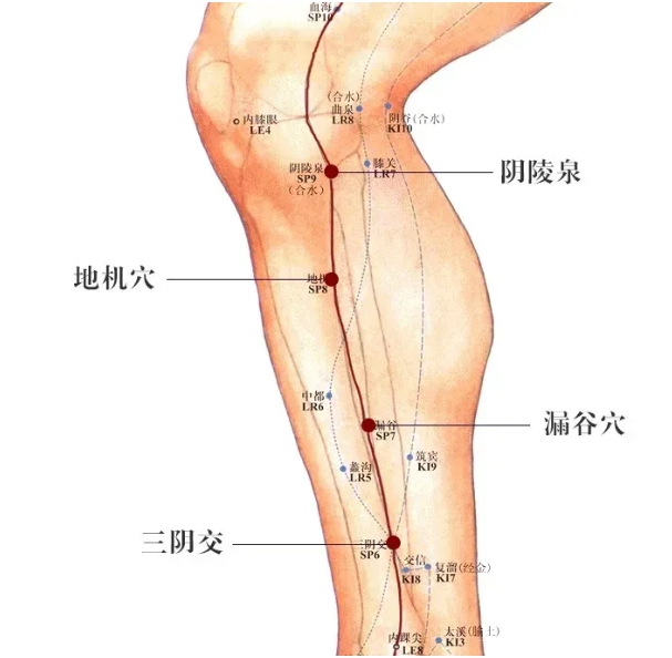 中医教你揉脾经，能揉掉大部分慢性病！