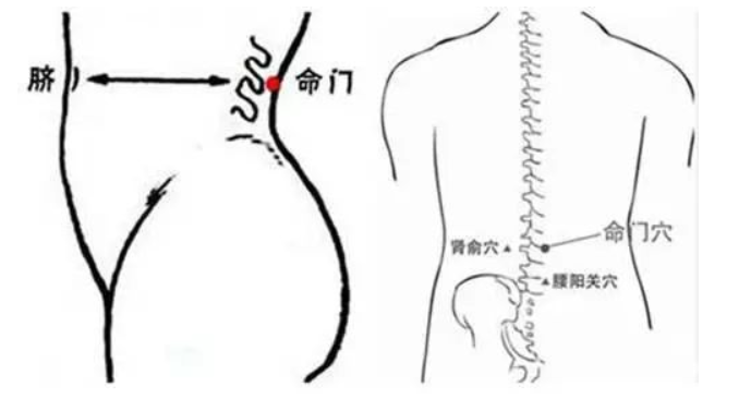 肾囊肿的4个调治方法