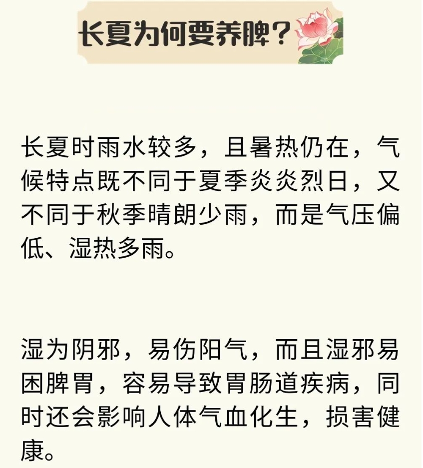 长夏湿热并重，养护脾胃正当时！养脾8法，让身体越来越轻松