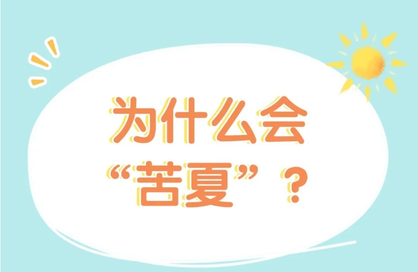 三伏要避开盛暑锋芒，“三吃”“三做”助你安度苦夏