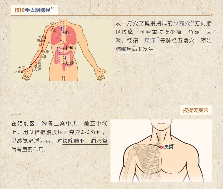 夏未尽，秋将至！中医养生助您远离“多事之秋”