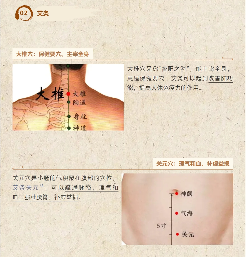 夏未尽，秋将至！中医养生助您远离“多事之秋”