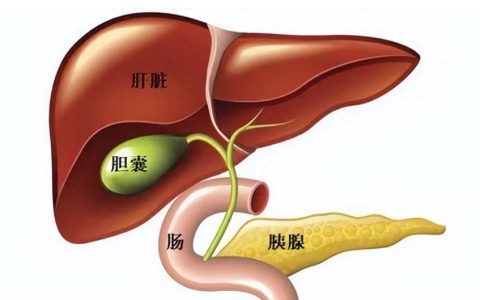 为什么肝病患者的胆囊总有问题？